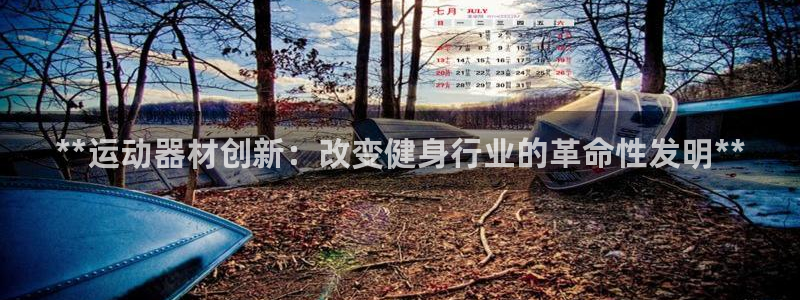 意昂3代理：**运动器材创新：改变健身行业的革命性发