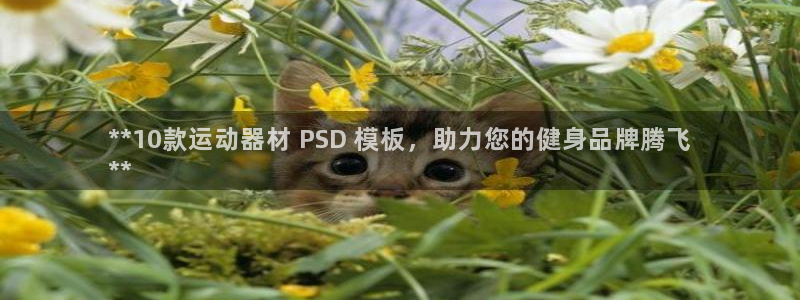 意昂3官方：**10款运动器材 PSD 模板，助力您