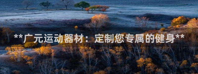 意昂平台体育：**广元运动器材：定制您专属的健身**