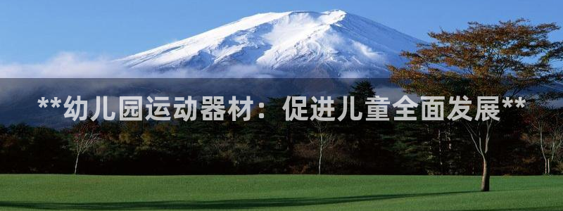 意昂3五金厂：**幼儿园运动器材：促进儿童全面发展*