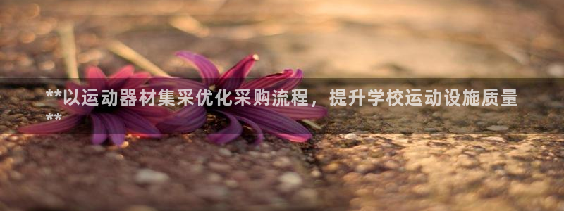 意昂体育3招商：**以运动器材集采优化采购流程，提升