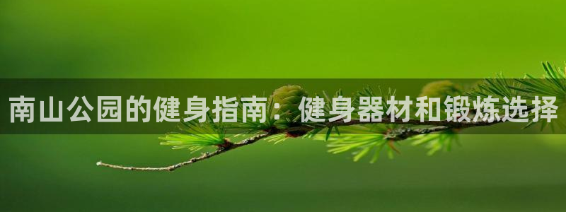 意昂3集团官网首页：南山公园的健身指南：健身器材和锻