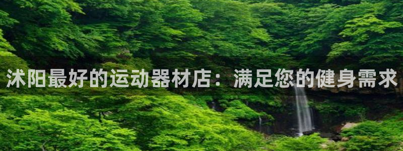 德国意昂3集团：沭阳最好的运动器材店：满足您的健身需