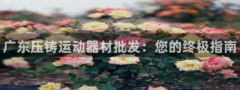 意昂集团官网：广东压铸运动器材批发：您的终极指南