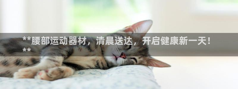 意昂3娱乐代理怎么样：**腰部运动器材，清晨送达，开