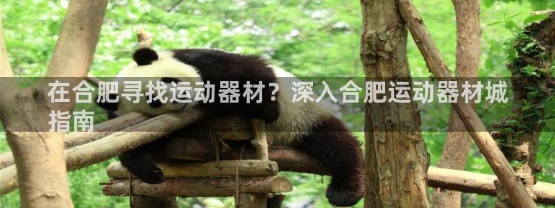 意昂体育3是干嘛的公司：在合肥寻找运动器材？深入合肥