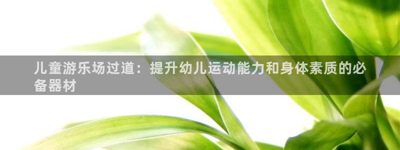 意昂体育3招商电话号码是多少啊：儿童游乐场过道：提升