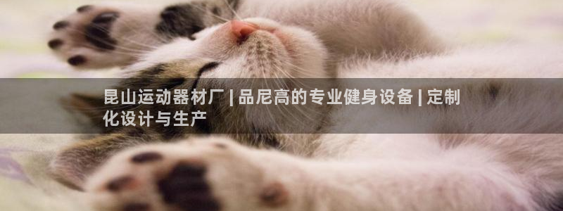 意昂3集团E.ON：昆山运动器材厂 | 品尼高的专业