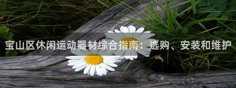 意昂体育3平台注册流程视频：宝山区休闲运动器材综合指