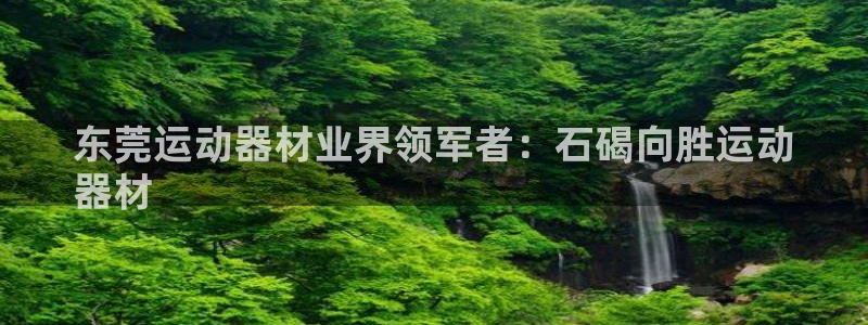 意昂3新能源：东莞运动器材业界领军者：石碣向胜运动
