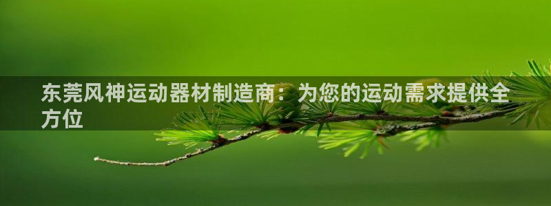 意昂体育3招商电话是多少号码：东莞风神运动器材制造商