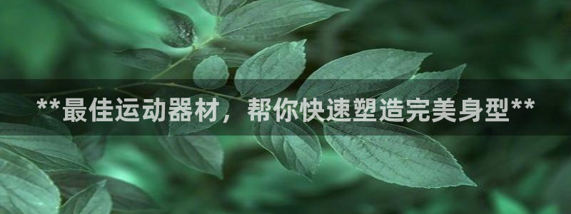 意昂3神州：**最佳运动器材，帮你快速塑造完美身型*