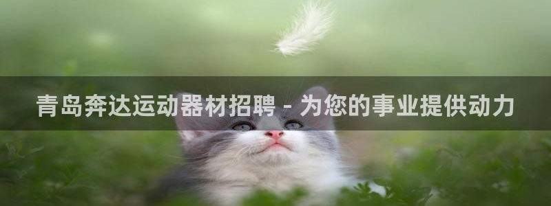 意昂3娱乐平台：青岛奔达运动器材招聘 - 为您的事业