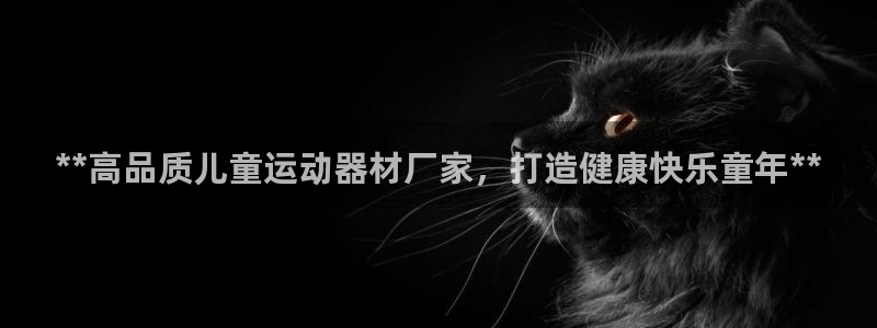 意昂3娱乐40996：**高品质儿童运动器材厂家，打