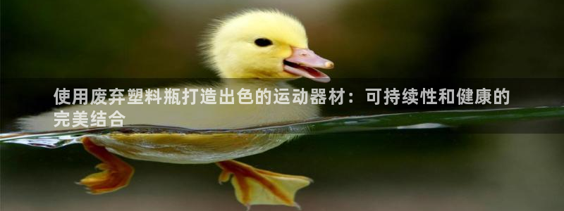 意昂3娱乐首页官网下载：使用废弃塑料瓶打造出色的运动