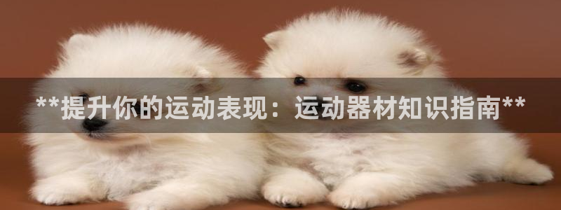 意昂3科技：**提升你的运动表现：运动器材知识指南*