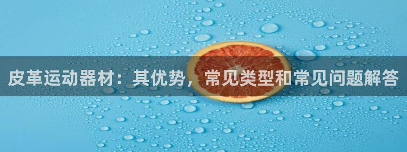 意昂3新能源：皮革运动器材：其优势，常见类型和常见问