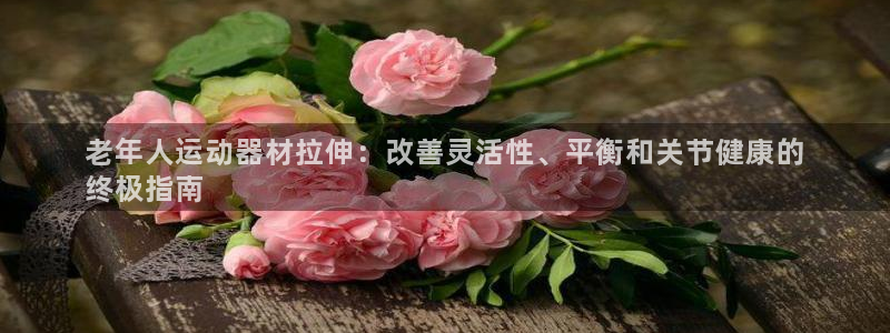 意昂3娱乐平台：老年人运动器材拉伸：改善灵活性、平衡