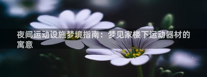 意昂3娱乐平台：夜间运动设施梦境指南：梦见家楼下运动