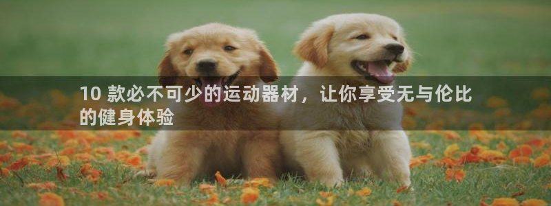 意昂体育3注册：10 款必不可少的运动器材，让你享受