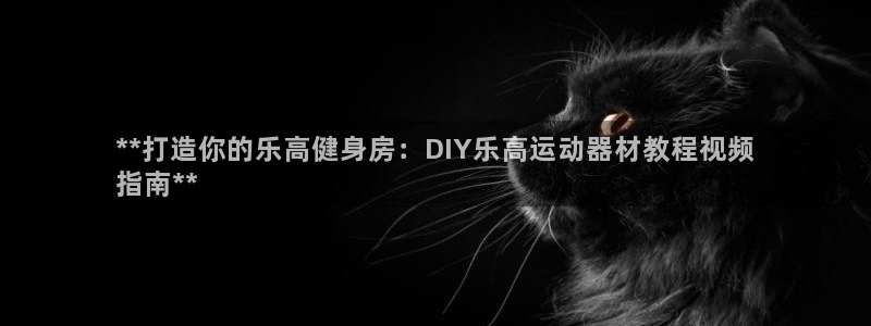 意昂3集团官网网址：**打造你的乐高健身房：DIY乐