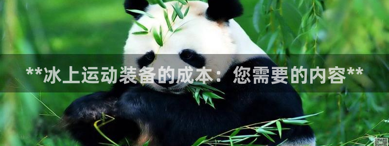 意昂3娱乐40996：**冰上运动装备的成本：您需要