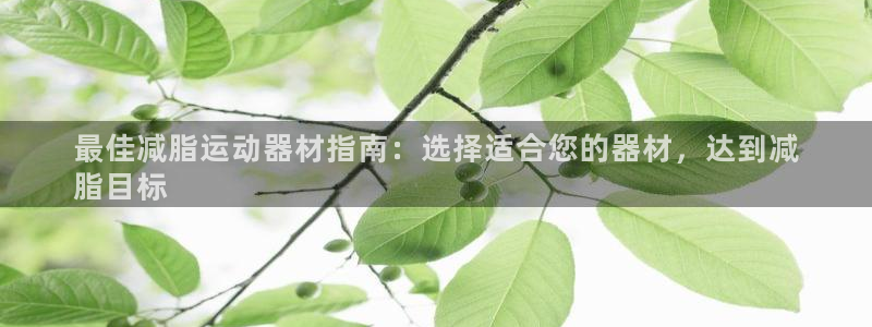意昂3集团E.ON：最佳减脂运动器材指南：选择适合您