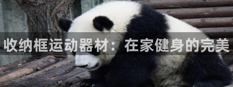 意昂体育3平台注册要钱吗安全吗：收纳框运动器材：在家