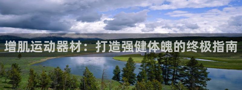 意昂3娱乐首页网站大全：增肌运动器材：打造强健体魄的