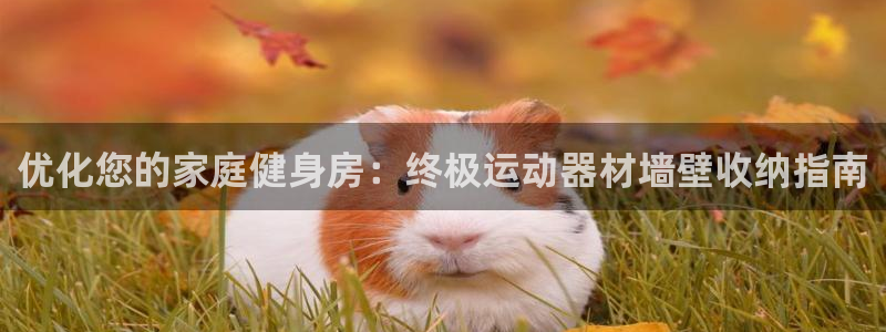 海南意昂体育3发展怎么样：优化您的家庭健身房：终极运