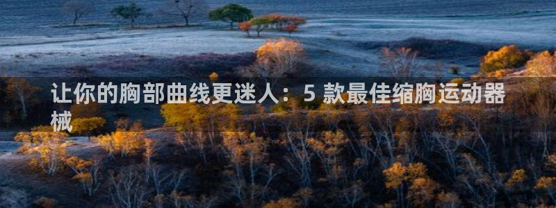 意昂体育3软件：让你的胸部曲线更迷人：5 款最佳缩胸