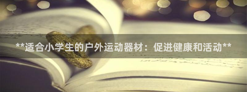 意昂3集团：**适合小学生的户外运动器材：促进健康和