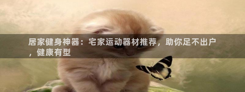 意昂3神州：居家健身神器：宅家运动器材推荐，助你足不