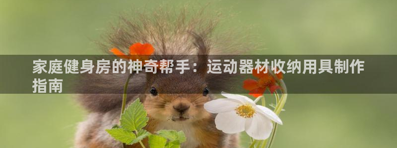 注册意昂3：家庭健身房的神奇帮手：运动器材收纳用具制