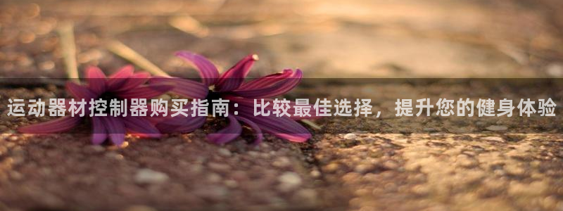 意昂3五金厂：运动器材控制器购买指南：比较最佳选择，