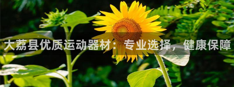 意昂3娱乐网站：大荔县优质运动器材：专业选择，健康保