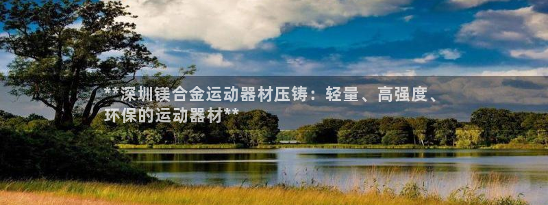意昂体育3平台注册要钱吗安全吗：**深圳镁合金运动器