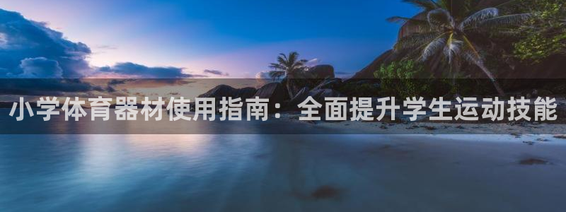 意昂体育3平台注册流程视频：小学体育器材使用指南：全面提升学