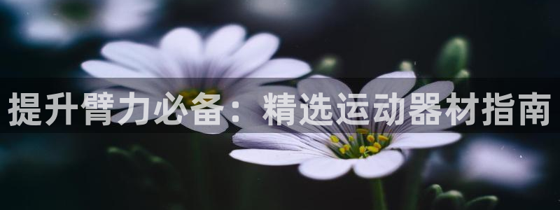 意昂3五金厂：提升臂力必备：精选运动器材指南