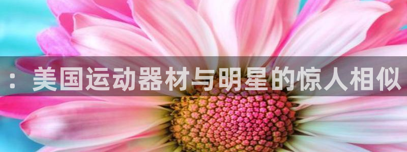 意昂平台体育：：美国运动器材与明星的惊人相似