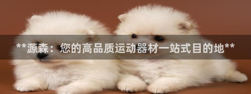 意昂3集团官网网址：**源森：您的高品质运动器材一站