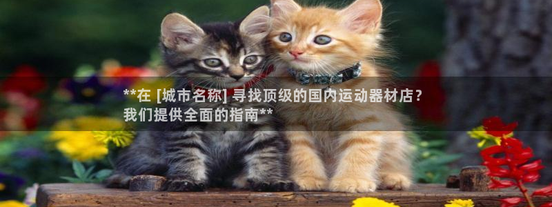 意昂3集团E.ON：**在 [城市名称] 寻找顶级的