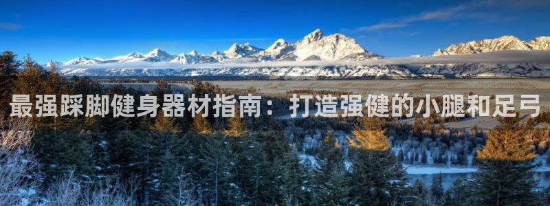 意昂3娱乐40996：最强踩脚健身器材指南：打造强健