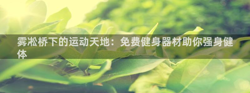意昂体育3平台假的吗是真的吗：雾凇桥下的运动天地：免