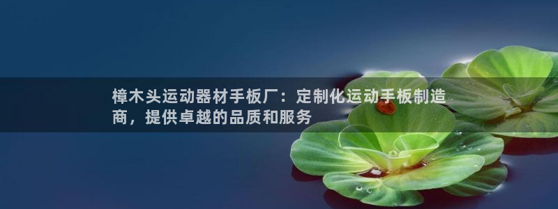 意昂体育3娱乐：樟木头运动器材手板厂：定制化运动手板