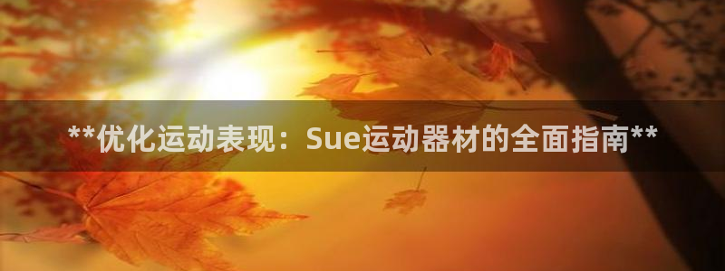 意昂3官网：**优化运动表现：Sue运动器材的全面指
