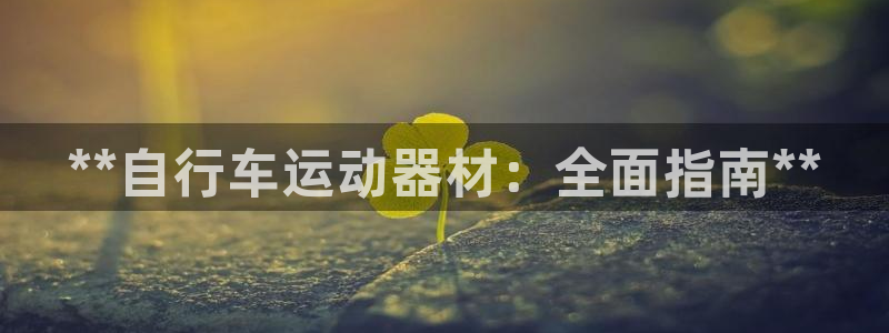意昂体育3招商电话地址是多少：**自行车运动器材：全