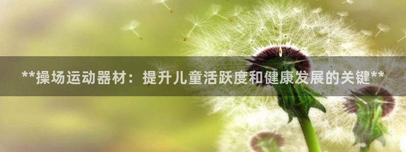 意昂体育3软件：**操场运动器材：提升儿童活跃度和健