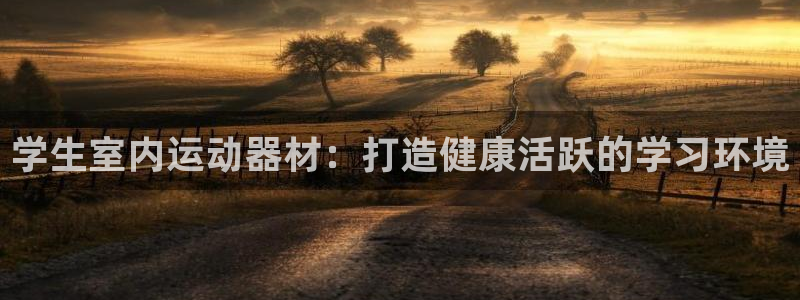 意昂体育3招商：学生室内运动器材：打造健康活跃的学习