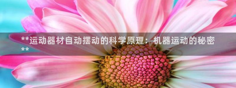 意昂体育3开户：**运动器材自动摆动的科学原理：机器